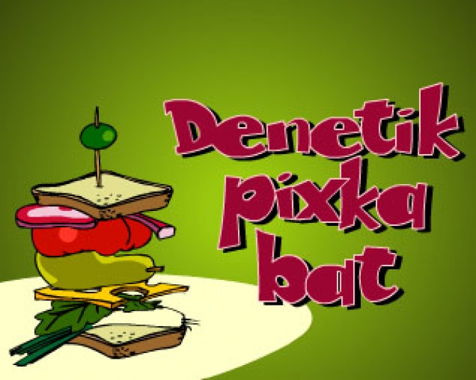 Denetik pixka bat